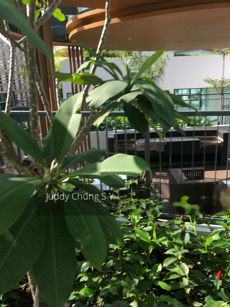 Kingsford Waterbay (D19), Apartment #194897652